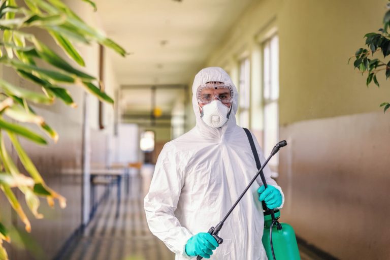 technicien désinsectisation lille Stop Frelons & Guêpes